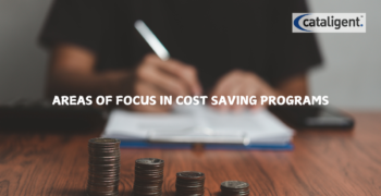 Areas of Focus in Cost-Saving Programs