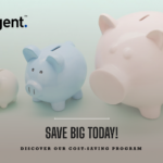 Cost Saving Program Cataligent Cost Saving Methods
