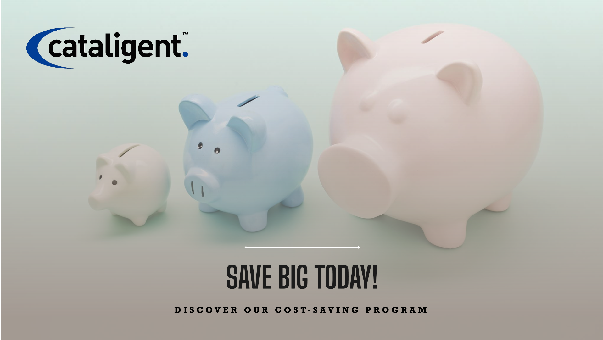 Cost Saving Program Cataligent Cost Saving Methods
