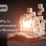 Do we even need any transformational change?