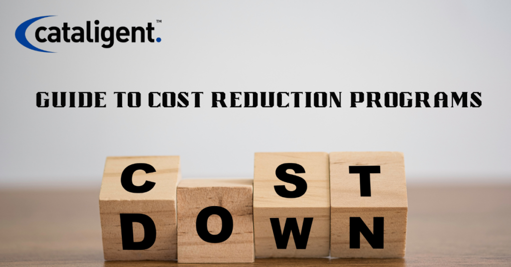 GUIDE TO COST REDUCTION PROGRAMS COST SAVING STRATEGIES CATALIGENT