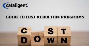 Guide to Cost Reduction Programs: Achieving Sustainable Financial Success