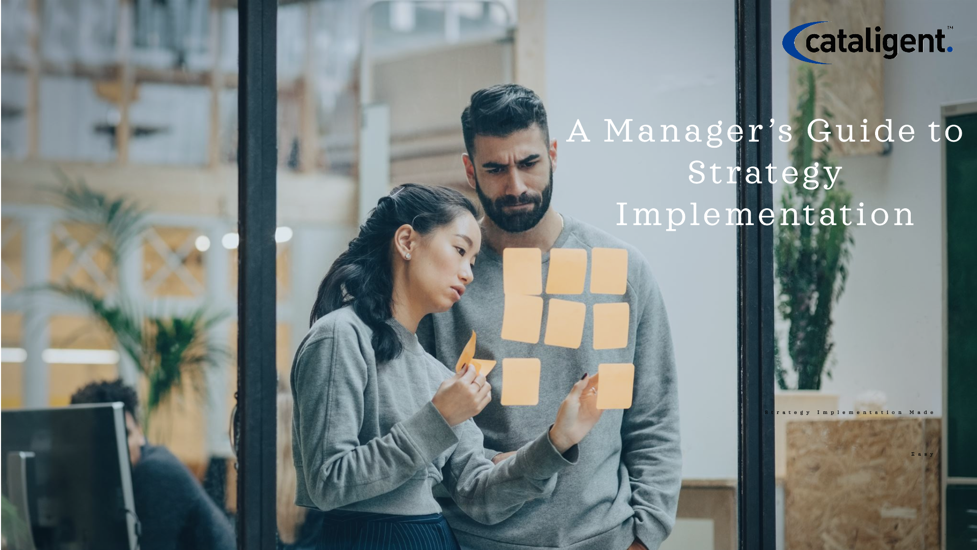 A Manager’s Guide to Strategy Implementation
