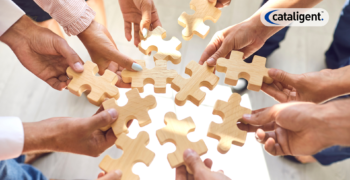 Roles & Responsibilities of Management Consultants