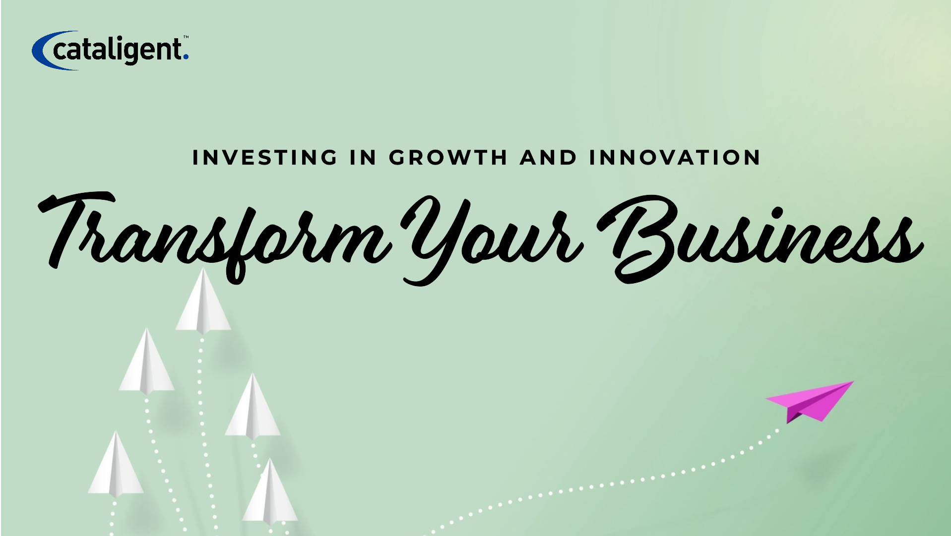 Investment in Business Transformation