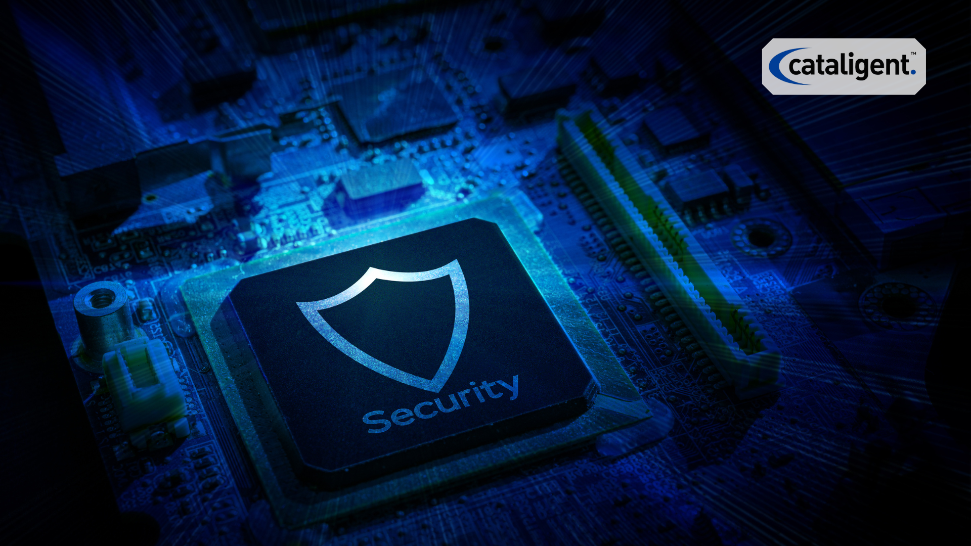 Cybersecurity & Data Protection
