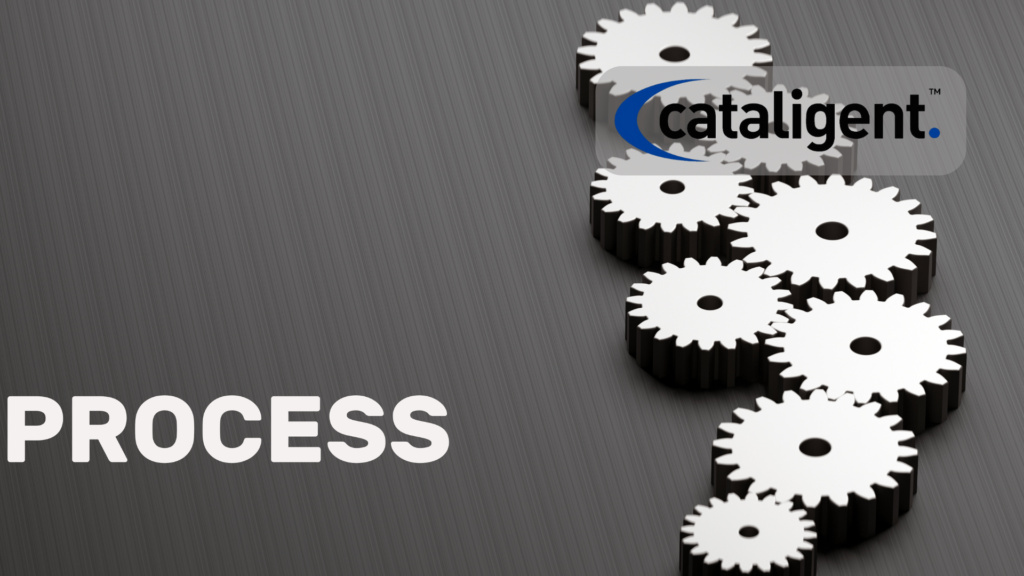 The Technology Consulting Process