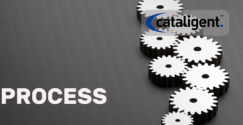 The Technology Consulting Process