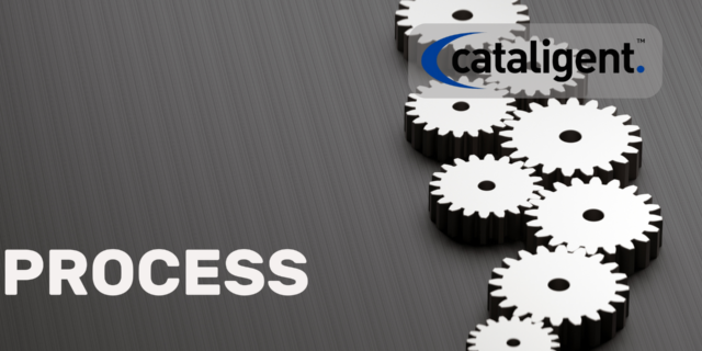 The Technology Consulting Process