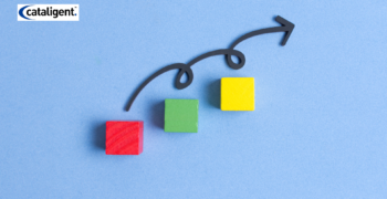 Steps in Business Model Transformation