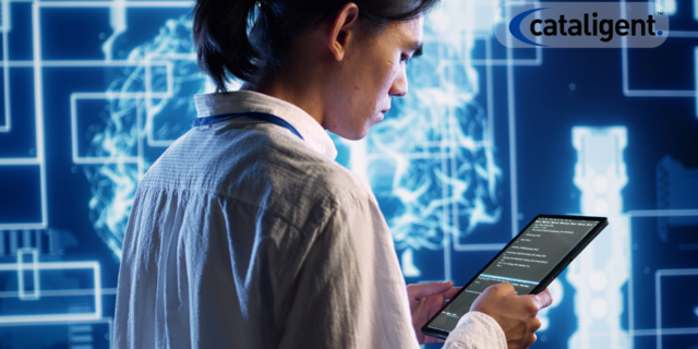 Resource Optimization in COBIT