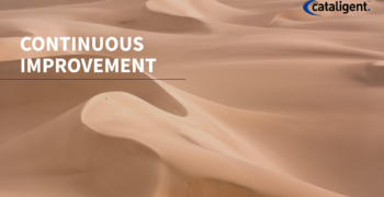 Continuous Improvement (CI) in QMS