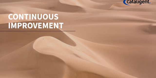 Continuous Improvement (CI)