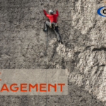 Risk Management in QMS