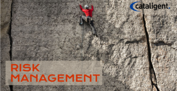 Risk Management in QMS