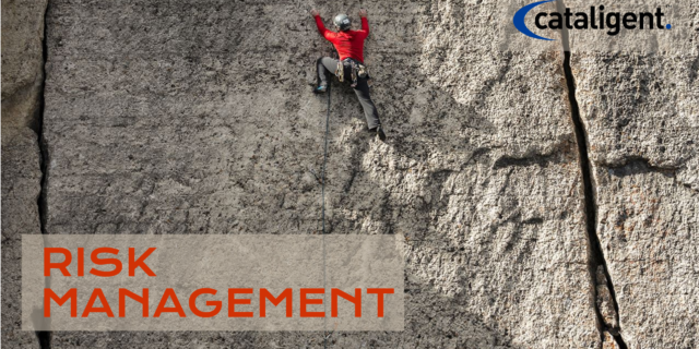 Risk Management in QMS