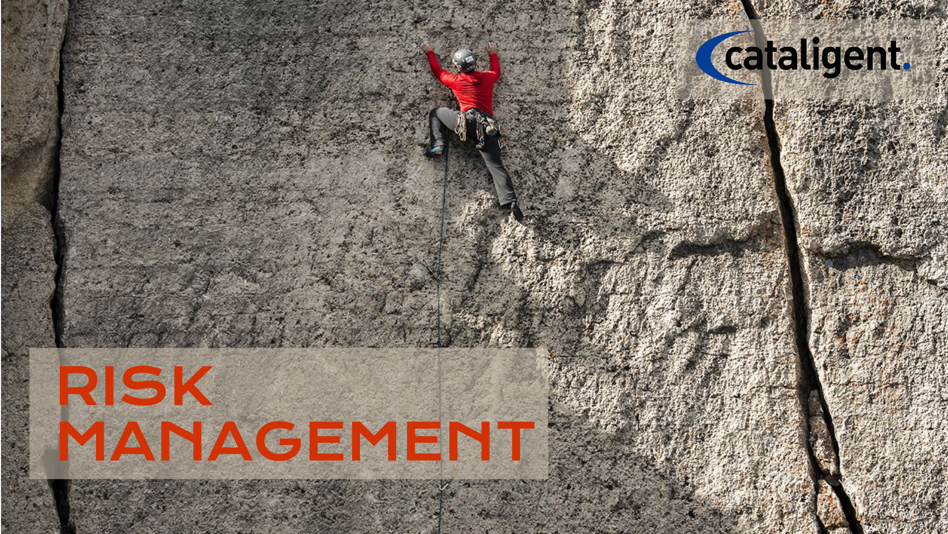 Risk Management in QMS