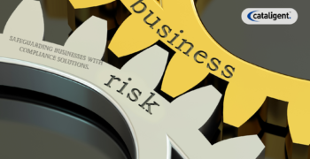Risk and Compliance Consulting