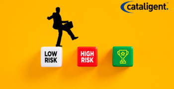 Key Skills for Risk and Compliance Consultants