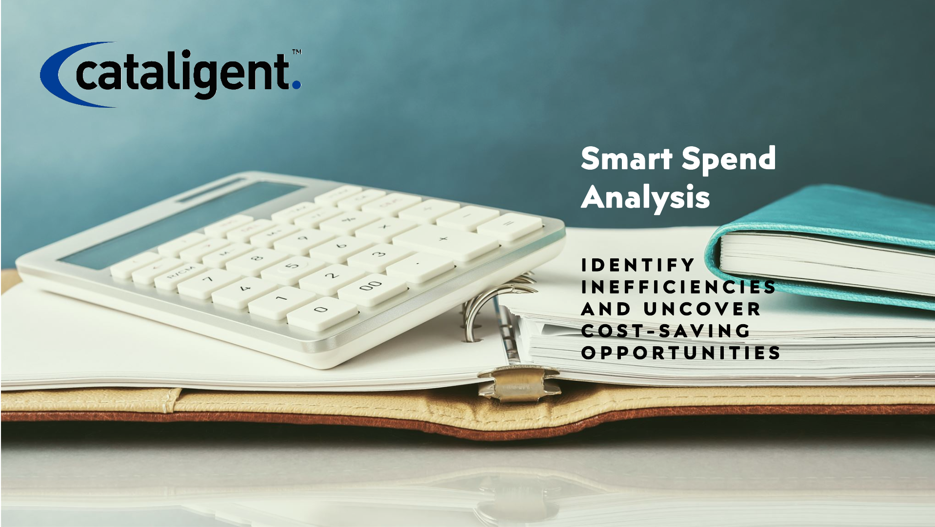Spend Analysis Cost Saving Program Cost Saving Methods Cataligent
