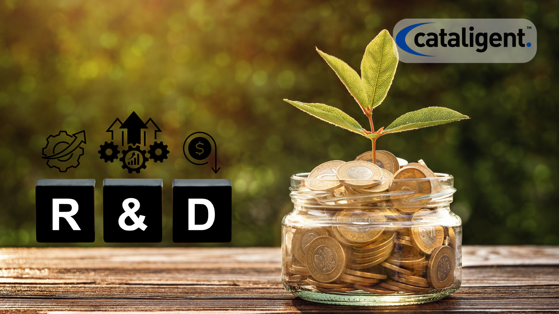 Cost-Saving Strategies for R&D Efficiency