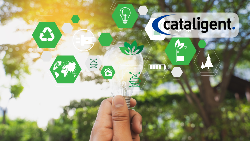 Sustainable Procurement