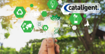 Sustainable Procurement: Driving Cost Savings and Environmental Responsibility