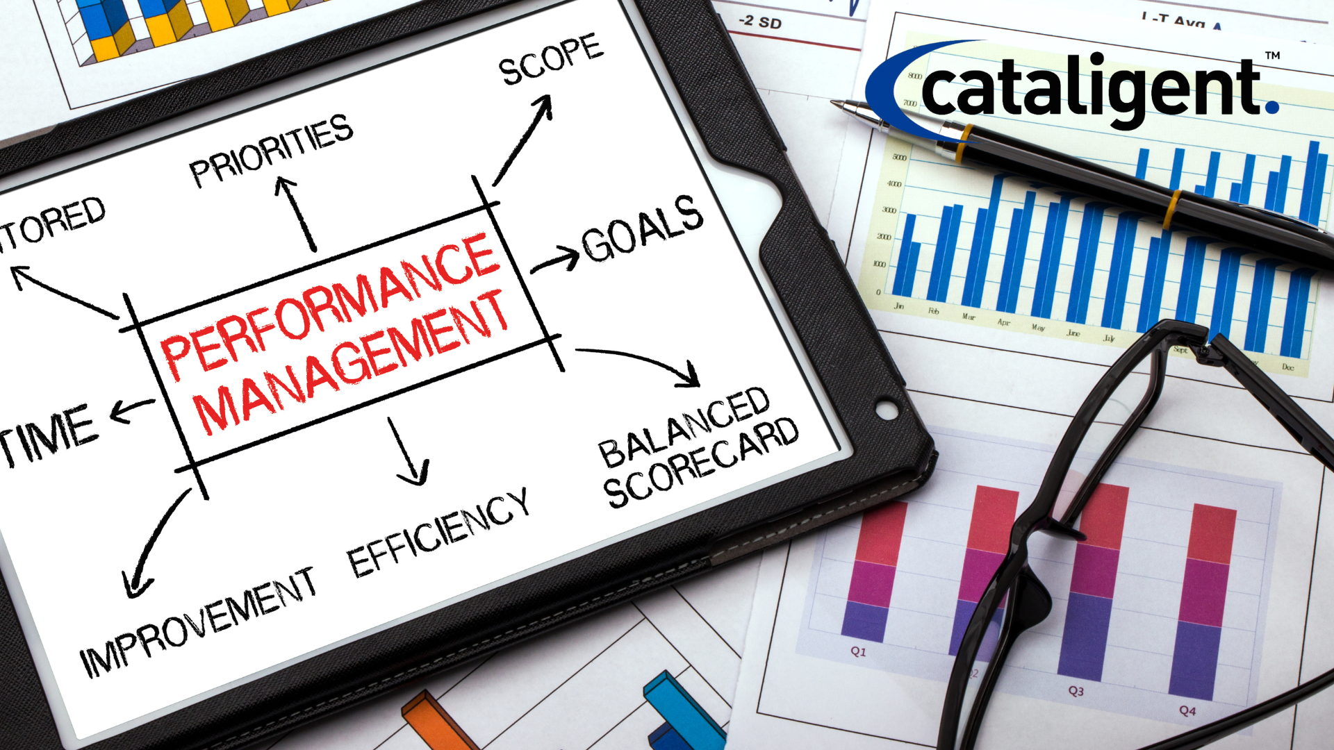 Supplier Performance Management