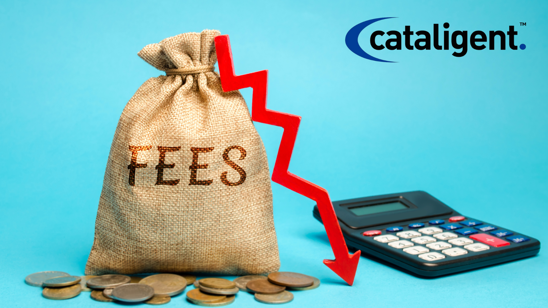Reduce Banking and Transaction Fees