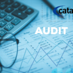 Conduct Regular Budget Reviews and Audits