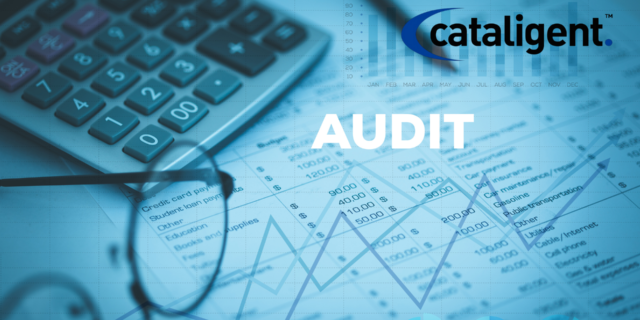 Conduct Regular Budget Reviews and Audits