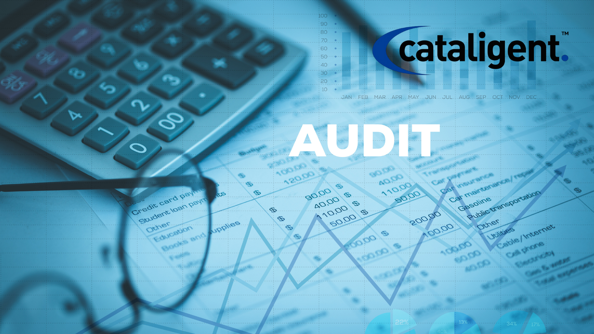 Conducting Regular Budget Reviews and Audits for Financial Optimization