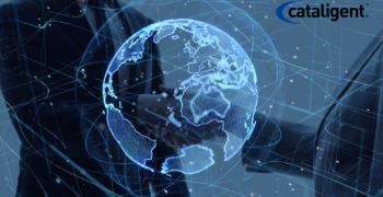 Cost Saving Strategies for Ecosystem Partnerships