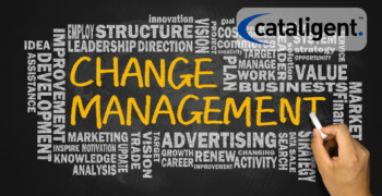Uncovering Change Management in Business Consulting