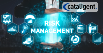 How Crucial is Risk Management for Business Consulting?
