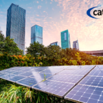Sustainability in Business Transformation