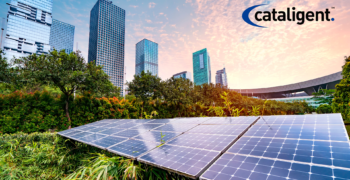 Sustainability in Business Transformation