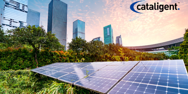 Sustainability in Business Transformation