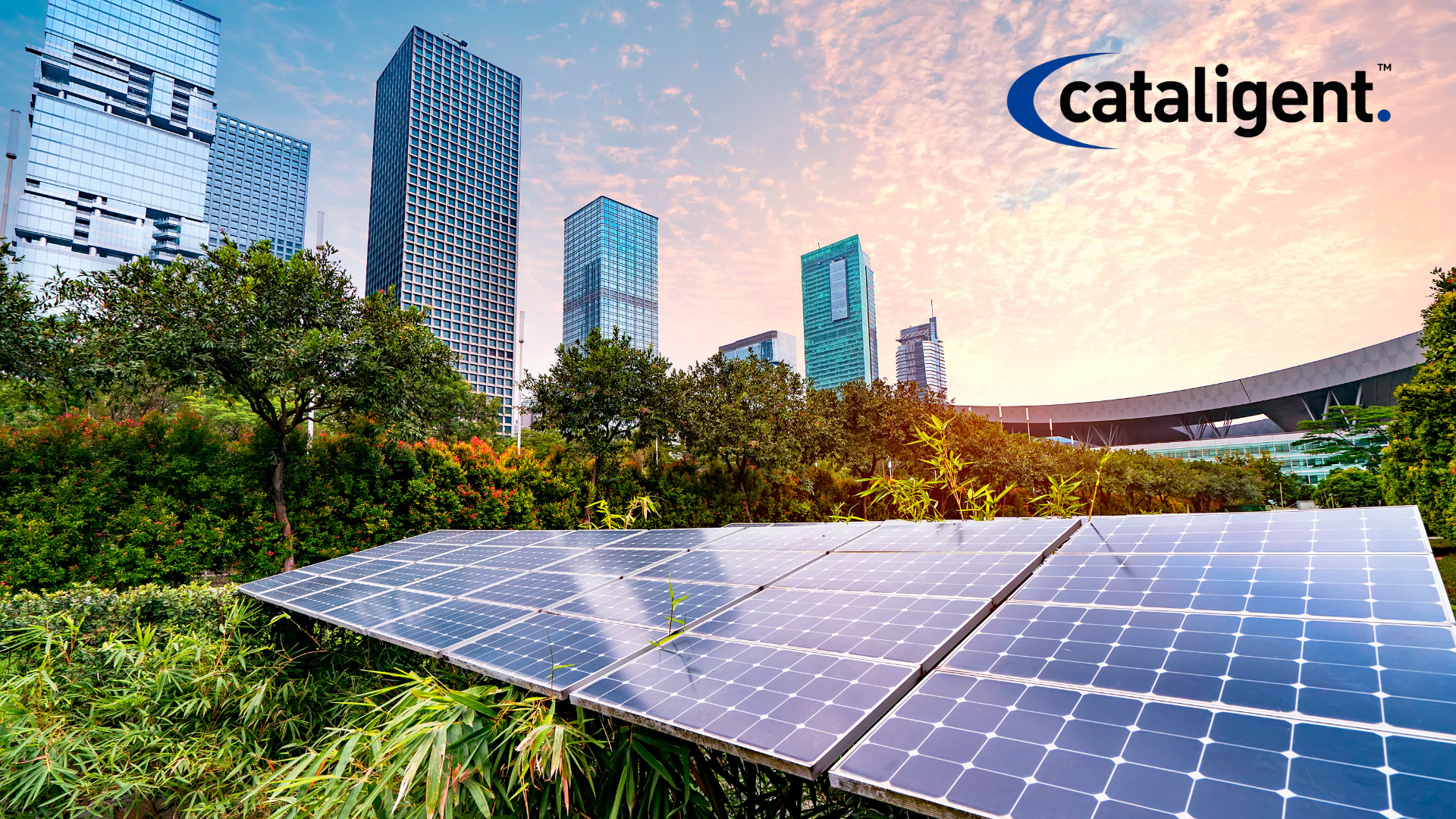 Sustainability in Business Transformation