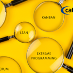 Types of business transformation methodologies