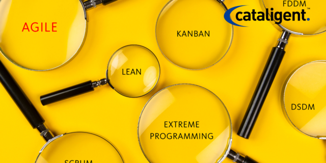 Types of business transformation methodologies