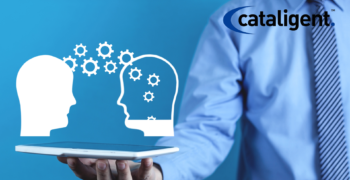 Invest in Knowledge Transfer and Training