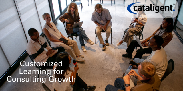 Importance of customized training and skill development for consulting