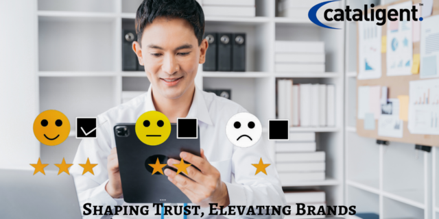 Business Consulting Branding and Reputation management