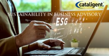 Sustainable Practices in Business Consulting