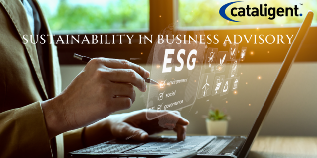 Sustainable Practices in Business Consulting