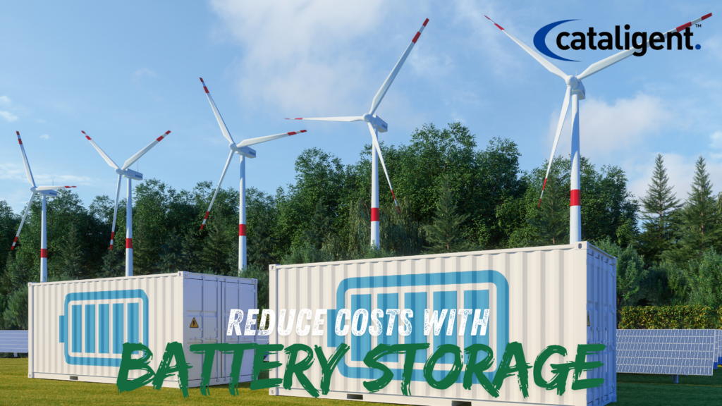 Invest in Energy Storage Solutions