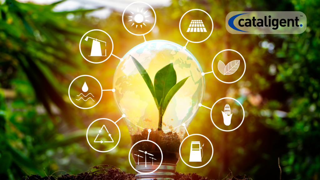 Transition to Renewable Energy Sources