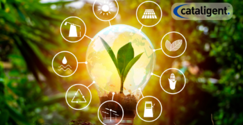 Transition to Renewable Energy Sources