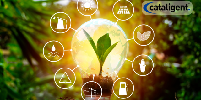 Transition to Renewable Energy Sources